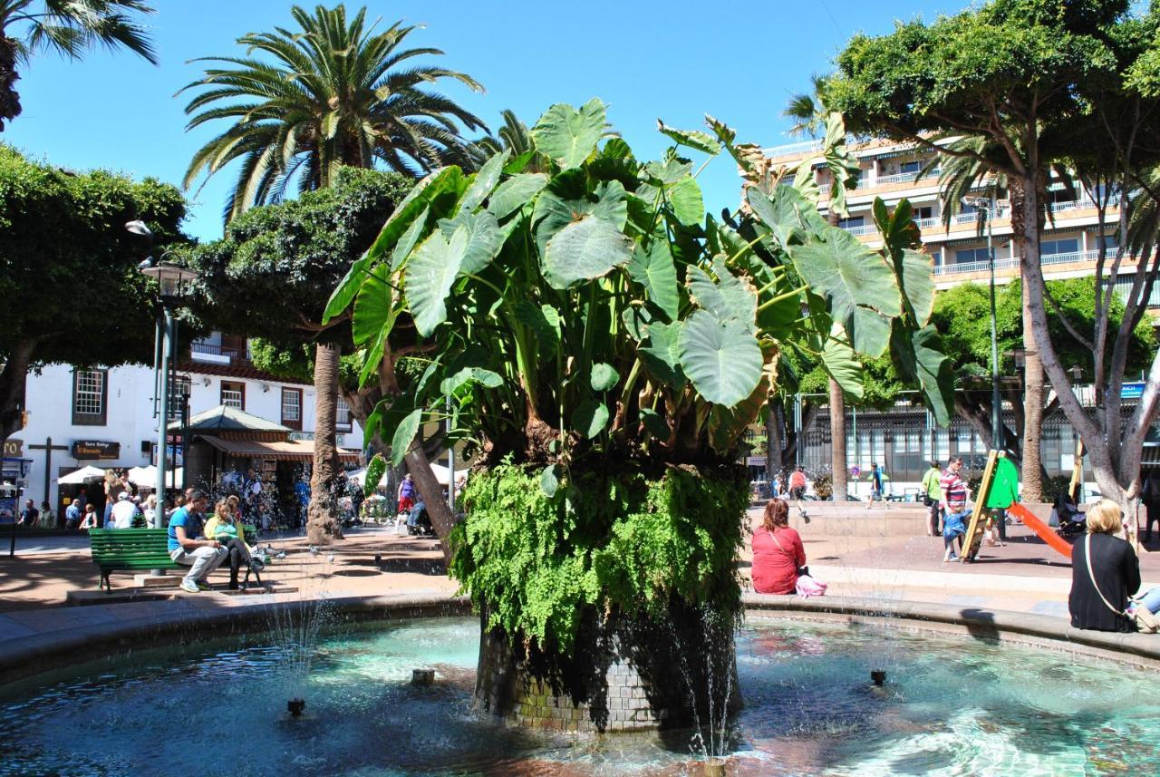 Durazno Tropical Apartment